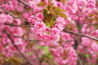 嘉兴平湖线下个人借款平台一站式服务，轻松解决资金难题