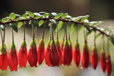 嘉兴平湖零用贷短借：轻松解决临时资金需求