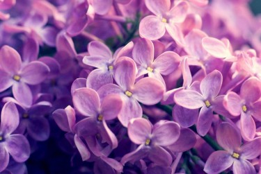 嘉兴平湖企业急用钱贷款攻略：快速融资解燃眉之急